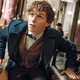 Illustration for article titled The iFantastic Beasts /iSequel, Written by J.K. Rowling, Officially Has a Release Date